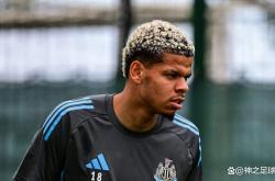 开云体育直播-关于法兰克福前锋秀出绝杀，球队喜迎胜利的信息