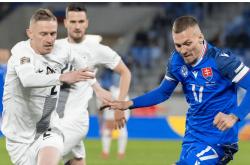 开云体育在线-关于克罗地亚与斯洛伐克在欧锦赛资格中交锋的信息