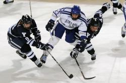 开云体育-黄黑风暴席卷圣西罗，多特蒙德战术碾压，卡塞米罗式铁腰惊艳欧洲