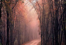 开云体育下载-曼联意外失分，教练组反思战术调整的简单介绍