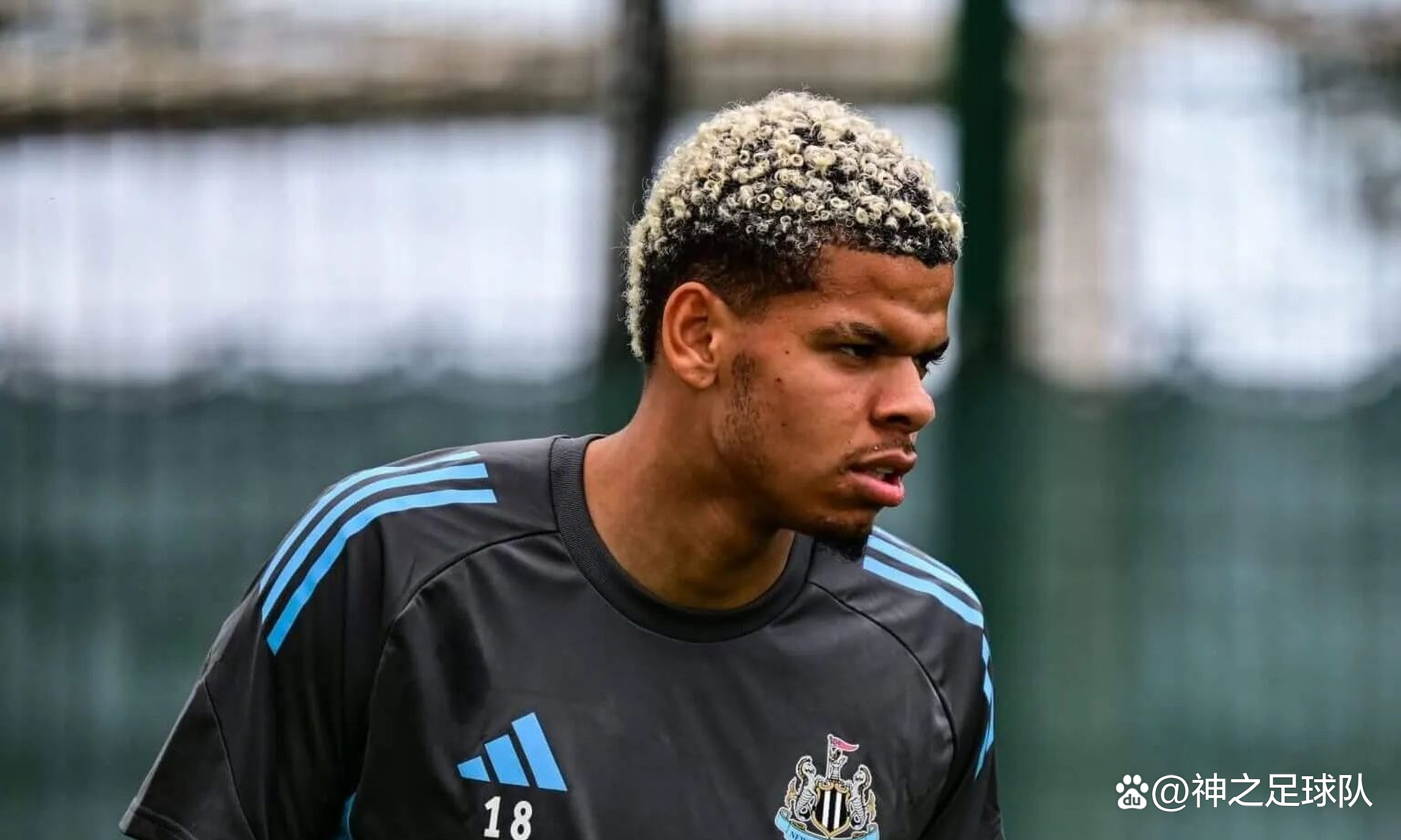 关于法兰克福前锋秀出绝杀，球队喜迎胜利的信息