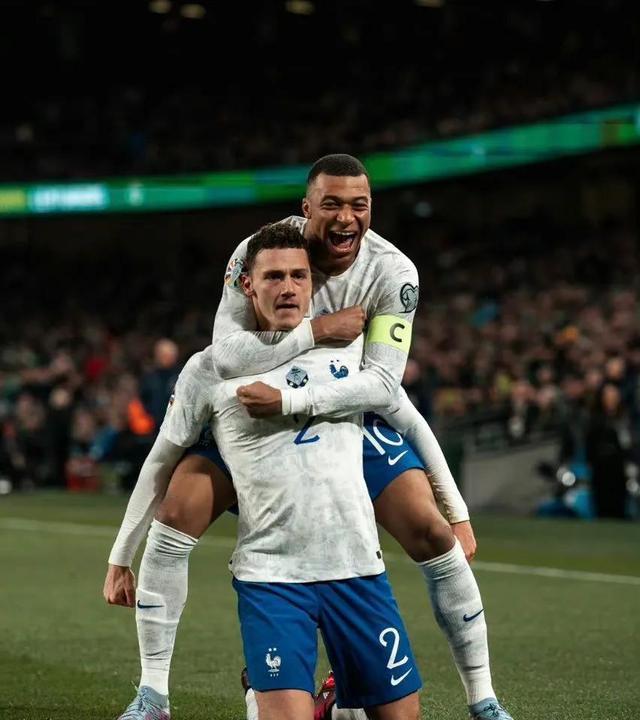 法国队完胜日本队，马琳带队取胜