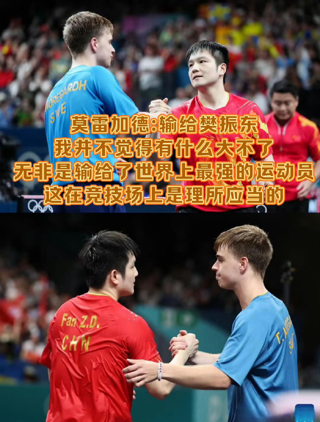 包含英国乒乓球队翻盘德国乒乓球队,樊振东关键制胜的词条 包含英国乒乓球队翻盘德国乒乓球队,樊振东关键制胜的词条