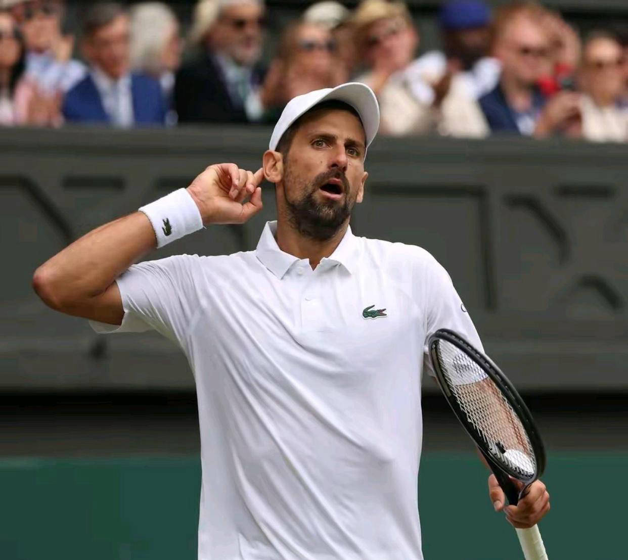 美网轻取戴维斯杯，德约科维奇统治全场