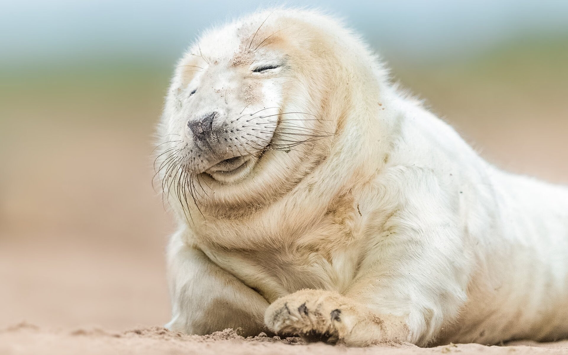 字母哥关键回合不手软，黄蜂提前终结悬念公牛