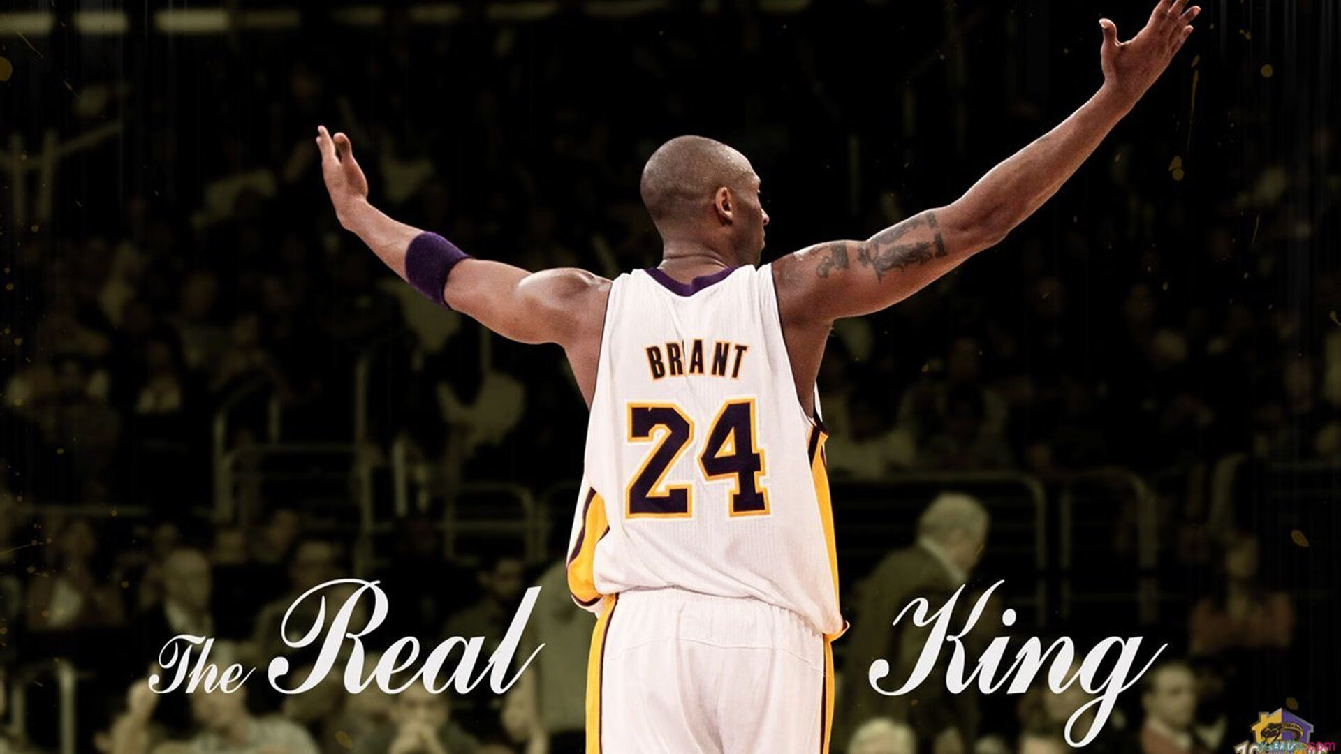 布雷默一夫当关,卡塔尔闪电战击溃安哥拉